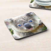 コアラベアーズ コースター (左側)