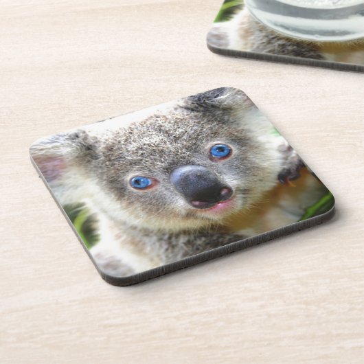 コアラベアーズ コースター (左側)