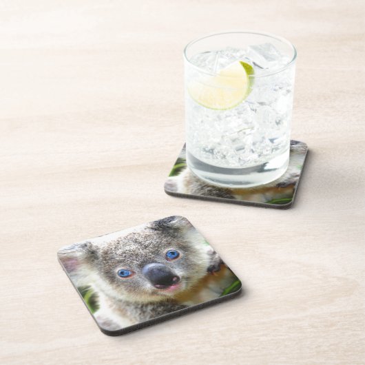 コアラベアーズ コースター (右側)