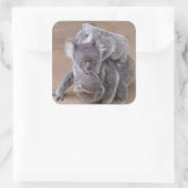 コアラベアーズ スクエアシール (バッグ)