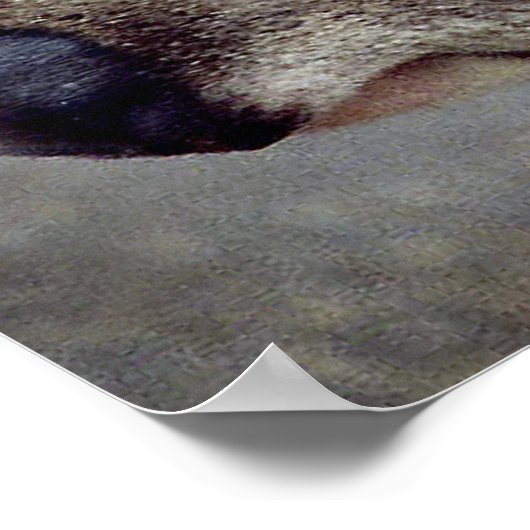 コアラベアーズ ポスター (角)