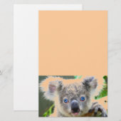 コアラベアーズ 便箋 (正面/裏面)