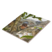 コアラベアーナッピング タイル (側面)