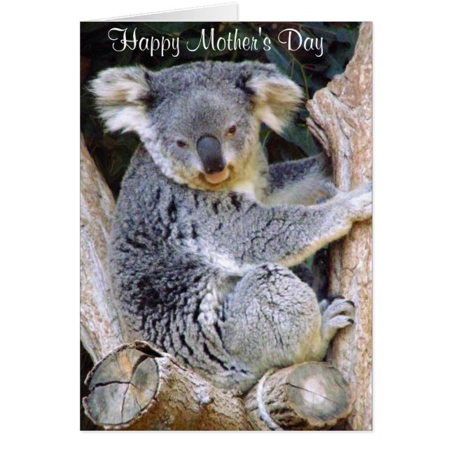 コアラベアーラブ_ (正面)