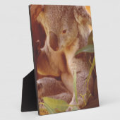 コアラベアーラブ フォトプラーク (側面)