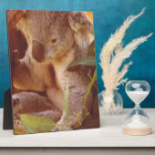 コアラベアーラブ フォトプラーク (側面)