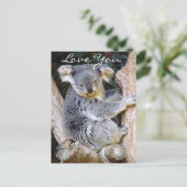 コアラベアーラブ_ ポストカード (スタンド正面)