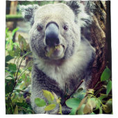 コアラベア シャワーカーテン (正面)