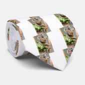 コアラベア ネクタイ (ロール)