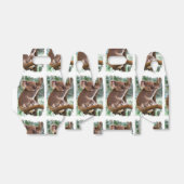 コアラベア フェイバーボックス (折り畳みなし)