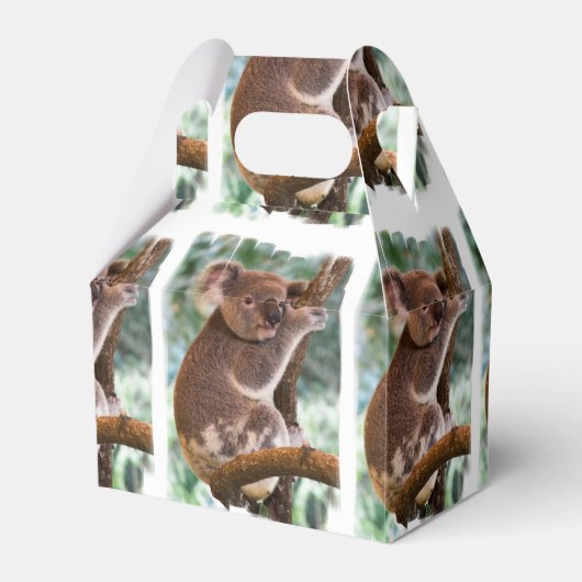 コアラベア フェイバーボックス (正面サイド)