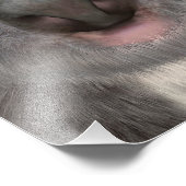 コアラベア フォトプリント            (角)