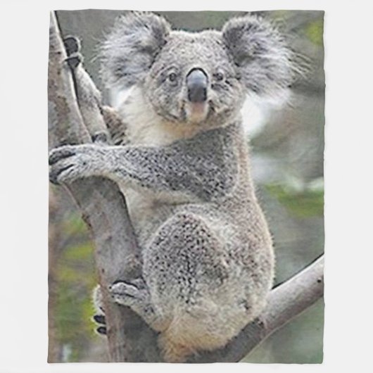 コアラベア フリースブランケット (正面)