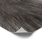 コアラベア ポスター (角)