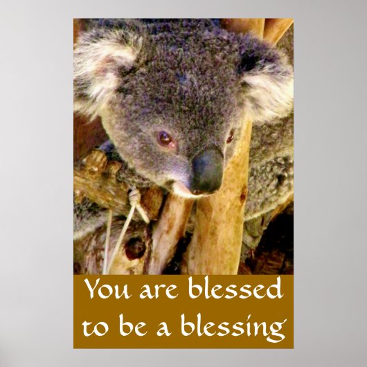 コアラベア＆メッセージ ポスター (正面)