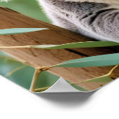 コアラ動物自然野生動物気にの愛情 ポスター (角)