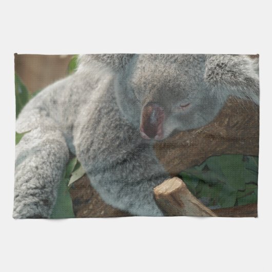 コアラ愛動物の運命のギフト キッチンタオル (横)