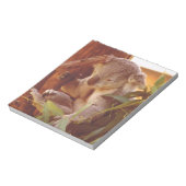 コアラ愛 ノートパッド (回転)