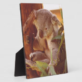 コアラ愛 フォトプラーク (側面)