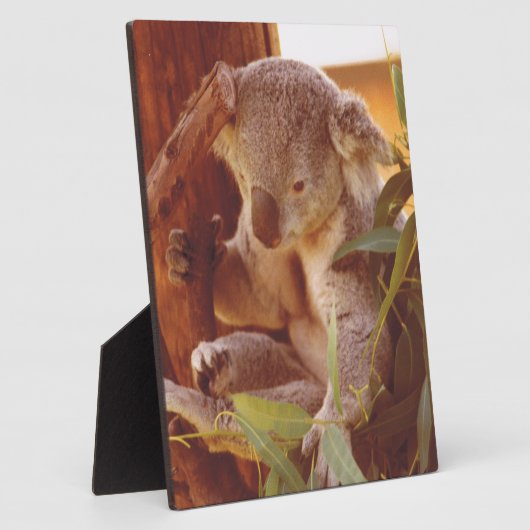 コアラ愛 フォトプラーク (側面)