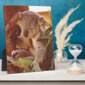 コアラ愛 フォトプラーク (側面)