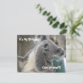 コアラ招待状誕生会 招待状 (スタンド正面)