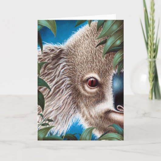 コアラ挨拶カード カード (正面)