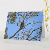 コアラ昼寝 カード (黄色い花)