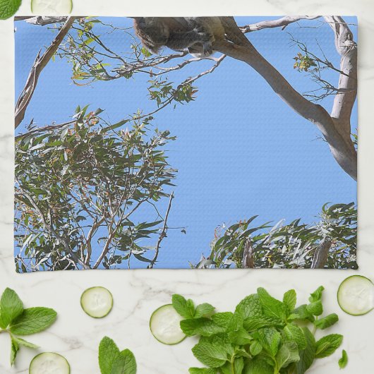 コアラ昼寝 キッチンタオル (折り畳み)