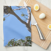 コアラ昼寝 キッチンタオル (四つ折り)