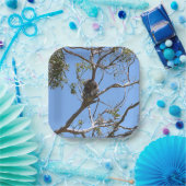 コアラ昼寝 ペーパープレート (パーティー)