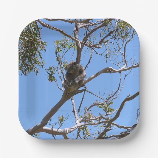 コアラ昼寝 ペーパープレート (正面)