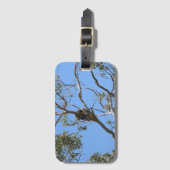 コアラ昼寝 ラゲッジタグ (正面縦)