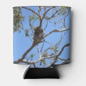 コアラ昼寝 缶クーラー (正面)