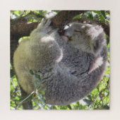 コアラ束 ジグソーパズル (横)