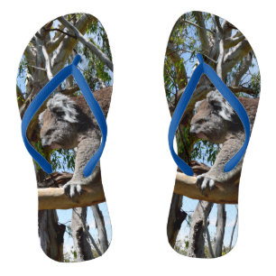 コアラ歩くオンツリーブランチ ビーチサンダル