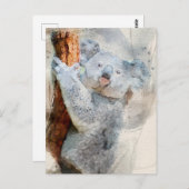 コアラ水彩絵葉書2022 ポストカード (正面/裏面)