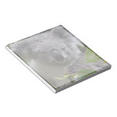 コアラ注釈 ノートパッド (アングル)