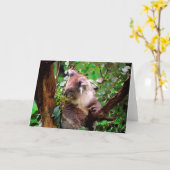 コアラ熊グリーティングカード カード (黄色い花)