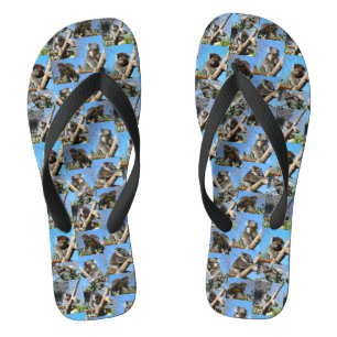 「コアラ疑問に思心温まるフォトコラージュ」 ビーチサンダル