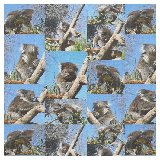 「コアラ疑問に思心温まるフォトコラージュ」 ファブリック (クローズアップ)