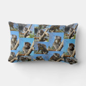 「コアラ疑問に思心温まるフォトコラージュ」 ランバークッション (裏面)