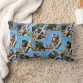 「コアラ疑問に思心温まるフォトコラージュ」 ランバークッション (ブランケット)