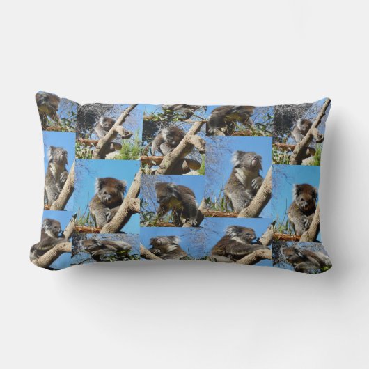 「コアラ疑問に思心温まるフォトコラージュ」 ランバークッション (正面)