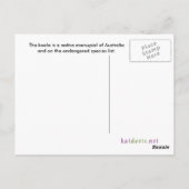 コアラ葉書 ポストカード (裏面)