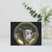 コアラ葉書 ポストカード (スタンド正面)