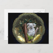 コアラ葉書 ポストカード (正面/裏面)