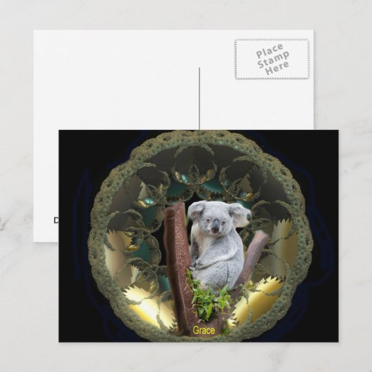 コアラ葉書 ポストカード (正面/裏面)