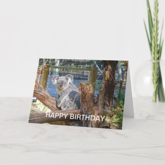 コアラ誕生日 カード (正面)