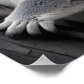 コアラ野生生物威厳のある自然ライフフォレストのポスター ポスター (角)